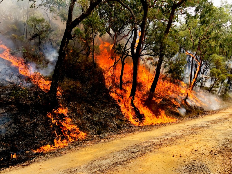Bushfire Web's $82 million for Victoria’s bushfire-effected roads - TradeEarthmovers